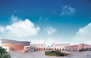 成都择校指南 各区九年 十二年制学校汇总