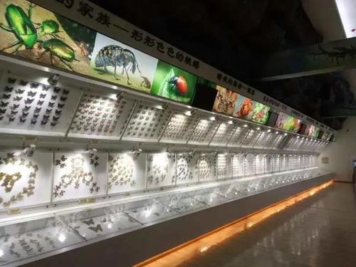 来都江堰这些博物馆,赴一场深度 走心的文博游