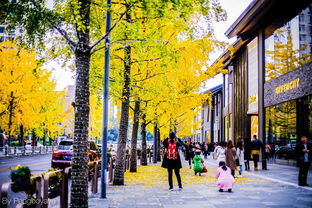 从成都到重庆市井文化艺术都体验,网红景点最火美食打卡全攻略