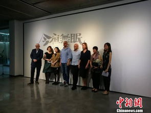 奥地利 今夜无眠 艺术展在成都开幕