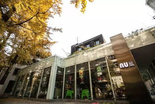 揭秘 成都夏天小清新必备背景墙,爱文艺的你去过几个