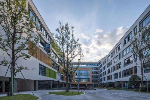 教改新模式下的立体学校 成都金苹果锦城一中 中国建筑西南设计研究院