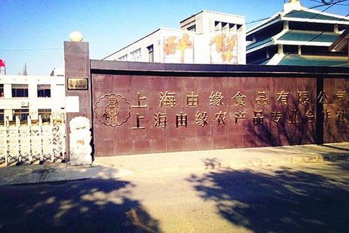 上海由缘食品