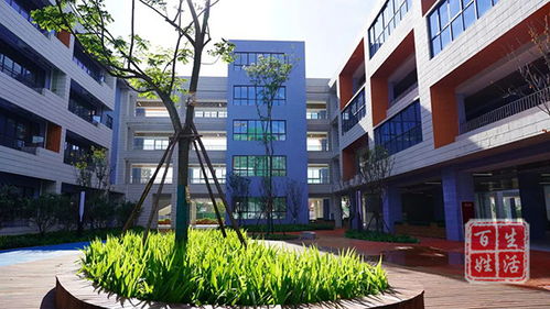 2022年成都芯谷实验学校小学部教师团队惊艳亮相