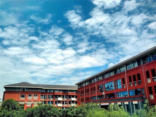 迎着朝阳,我们一同前行 致成都七中万达学校高2020级新同学