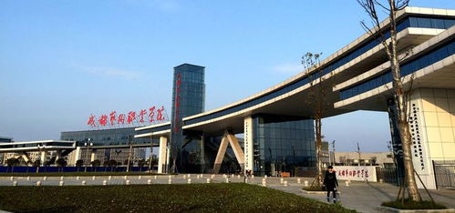 最新出炉 2021年四川省职业技术大学排名,成都艺职大入选