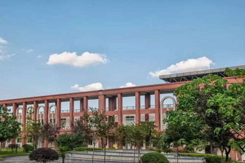 成都职业技术学院,这下要在全国出名了