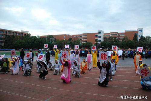 多彩双中实验,点燃文艺激情 双中实验人文艺术节,在严冬感受 夏天
