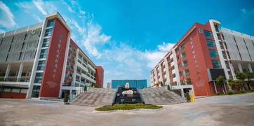 火爆2019的这两所公办 网红学校 教科院的支持 北二外的领航,你更心仪谁