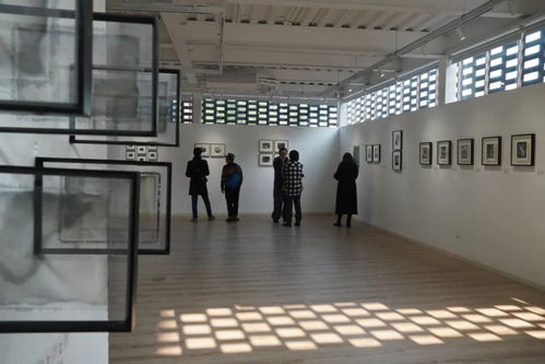 不显 熊基林古典工艺摄影个展于成都盛大开幕