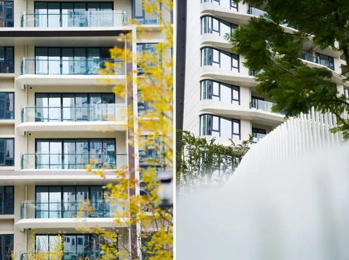 2024年度观察 高能兑现 成都还看天府新区