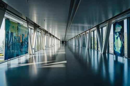 华晨宝马 新工厂艺术项目 以艺术力量推动可持续发展