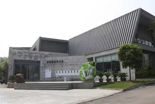 折耳根 蕺菜 古墓和艺术,本来就是个故事