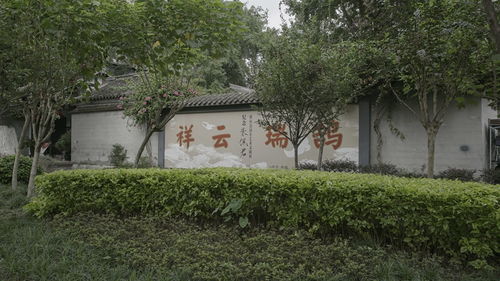 成都画院建院40年艺术季系列活动完美收官