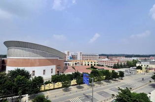 抢人大战提前上演？攀枝花高铁未通，成都戈多艺术学校先行布局的真相