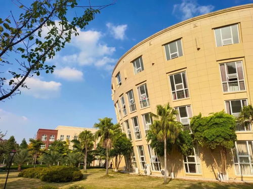 成都文理学院2021年艺术类及空乘类招生简章与成都戈多艺术学校合作介绍