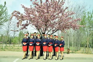 濮大版《成都》来了！艺术学院学子真情演绎，唯美歌声传递校园之美