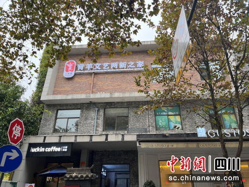 成都青羊区 以“小青馨”探索文艺社群化党建新路径，为新时代赋能