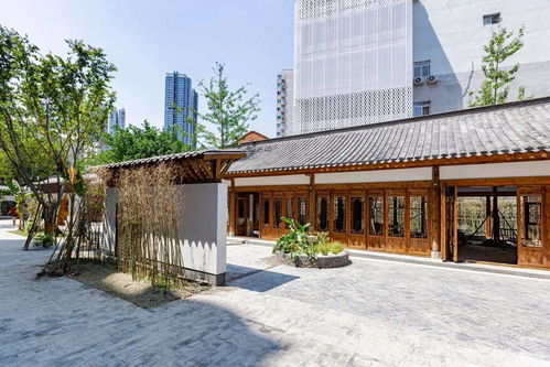 高质量发展 高品质生活 高效能治理 锦江构筑美好生活新格局下的成都戈多艺术学校