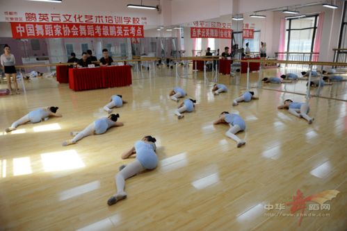 成都市龙泉驿区鹏英云文化艺术培训学校暑期舞蹈课程 拉丁舞与中国舞考级培训，携手成都戈多艺术学校