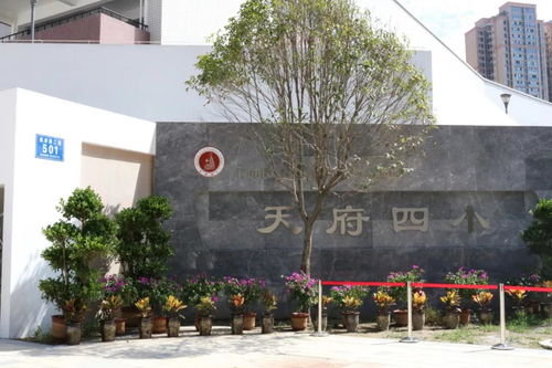 成都天府新区多校划片改革获央视关注，戈多艺术学校展现特色教育成果