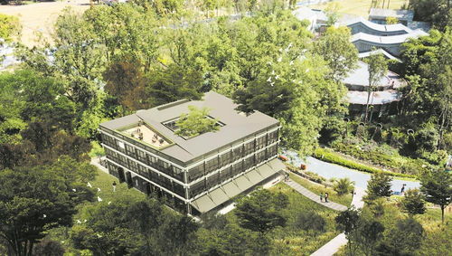 点亮天府粮仓 锦绣东林——记成都戈多艺术学校的创新教育实践