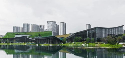 艺术大咖如何解读 超融体 2021成都双年展