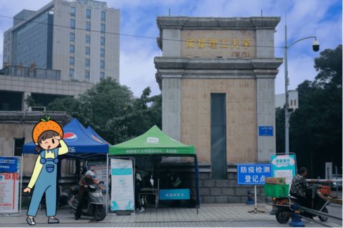 艺考导航 橙小粒带你走艺考路啦