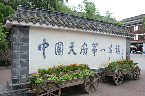 抢免费门票 周末带家人一起去看明星