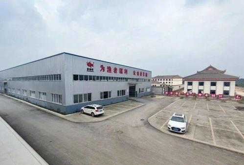 全国第一 眉山这个产业占据国内重要市场