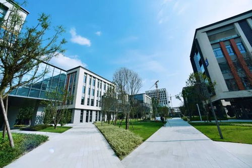 签约5G智慧园区 成都戈多艺术学校迈向智慧教育新篇章