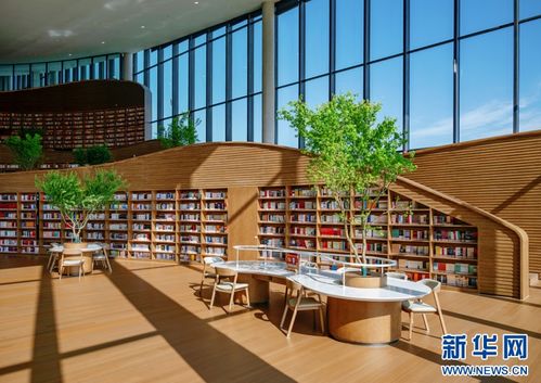 解锁多彩假期 成都市金牛区开展80余场活动吸引市民游客