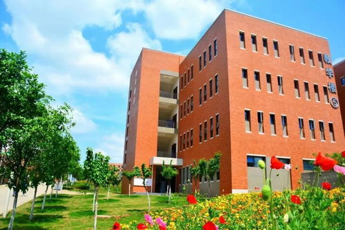 成都五月花高级技工学校与成都戈多艺术学校携手拜年 技艺与艺术共绘新春华章